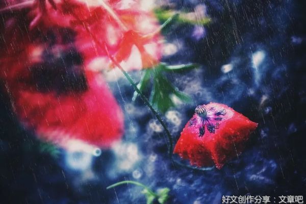 珍惜眼前，才会少留遗憾
