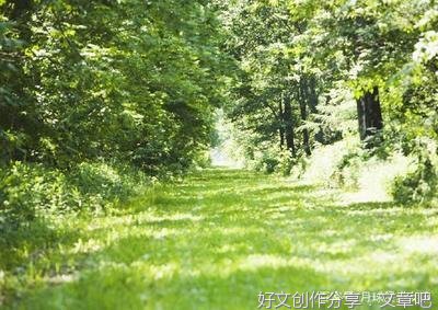 七堇年优美的句子
