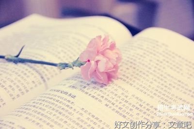 情感的优美句子