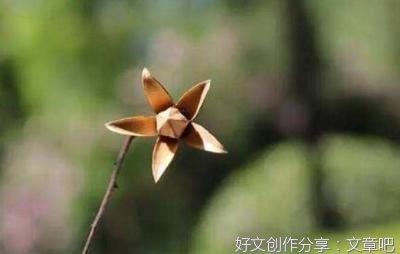 静默的铁证读后感锦集