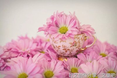 关于苦难的优美句子