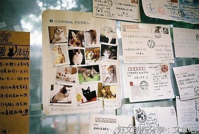 夏至未至名句欣赏