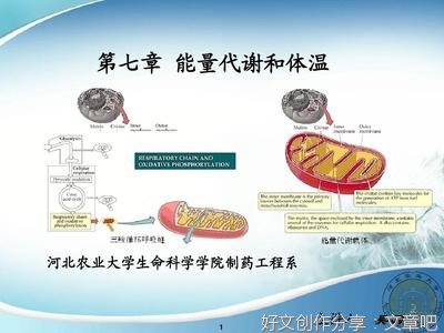 饮食代谢力：不节食，不暴走，吃出易瘦体质读后感摘抄