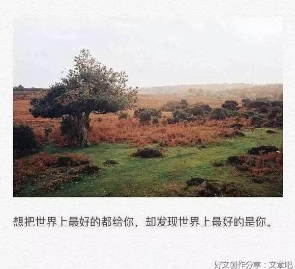 喜欢经典的句子