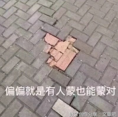 《奥利小勇士》的读后感大全