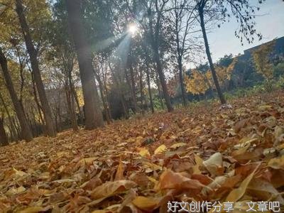 晚安集的优美句子