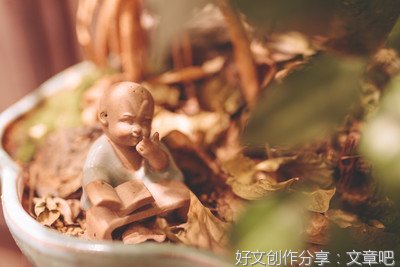 《镜·双城》观后感摘抄