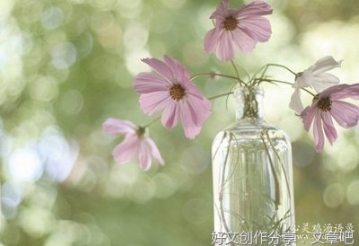 庄子的优美句子
