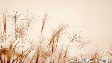 有关箩筐的句子