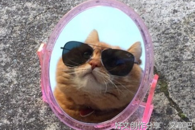 无厘头的喜欢句子大全