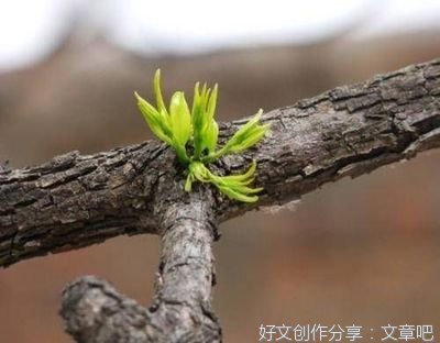 《为人》的句子