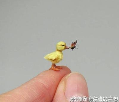 关于弱肉强食的句子