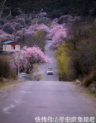 念的句子