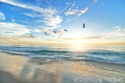 《人间自在》读后感摘抄