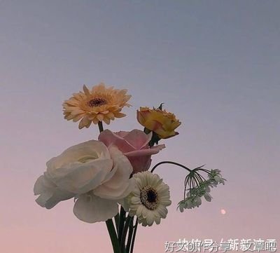哲学的句子