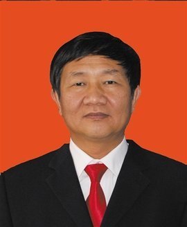 《向阳花海》读后感1000字