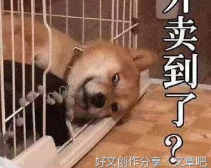 《极简学理财》经典读后感有感