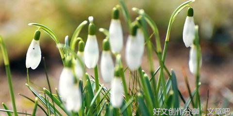 在城市角落相遇的优美句子