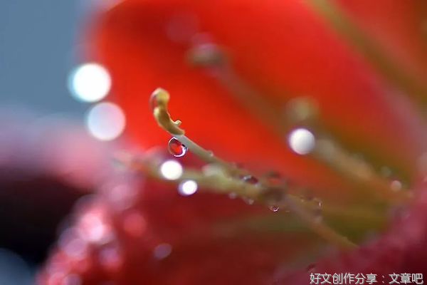 给灵魂一点美
