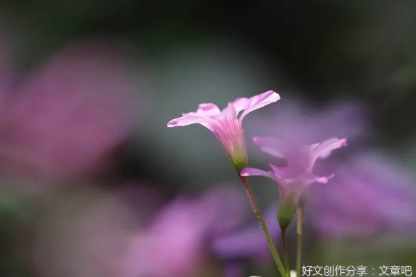  一个家庭有静气，人有福气