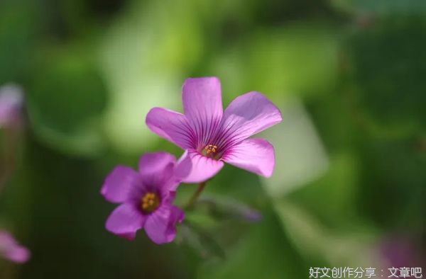  一个家庭有静气，人有福气