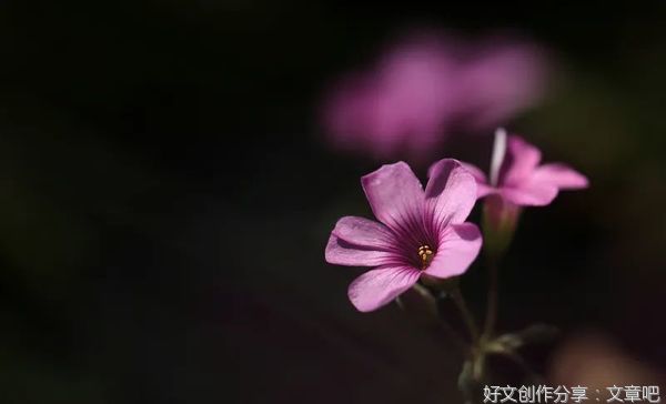  一个家庭有静气，人有福气