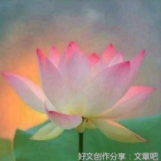清白之年的优美句子