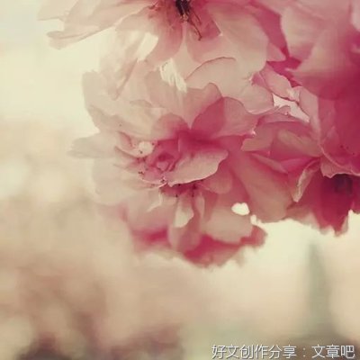 心动句子大全