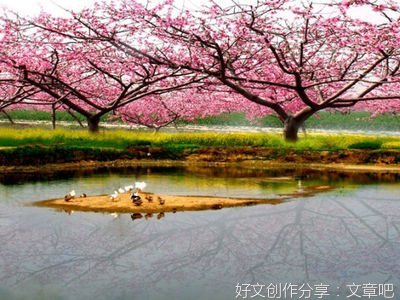 《桃花源密码2·武陵神树》读后感摘抄