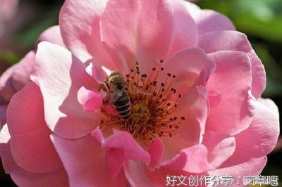 有关十三的句子