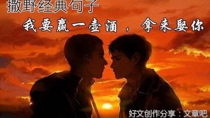 关于撒野的句子