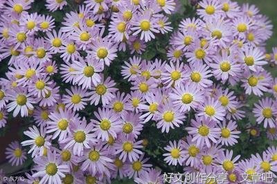 往事云散，枉情东流。好词好句