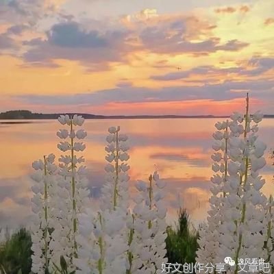 毛姆优美的句子