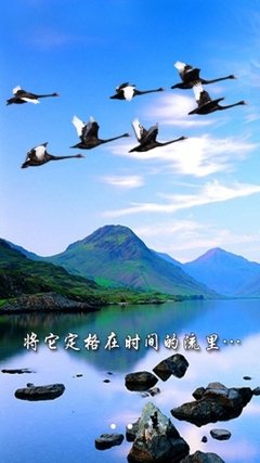 为你写诗