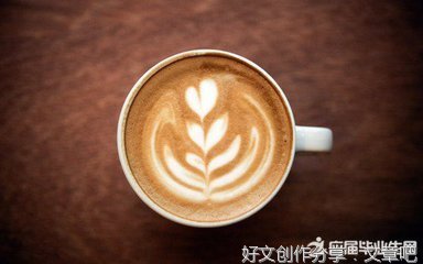 咖啡豆的读后感大全
