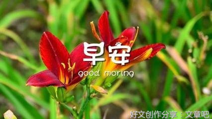 你微笑时很美的优美句子