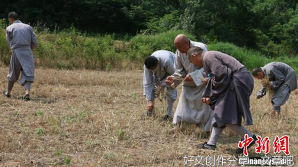 捡不完的麦穗