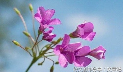 努力 勇敢 正能量句子
