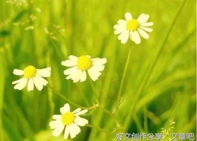 别闹啦！优美的句子