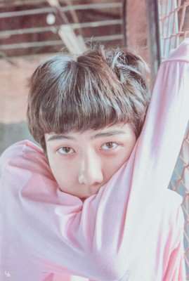 关于Sehun&Luhan的优美句子