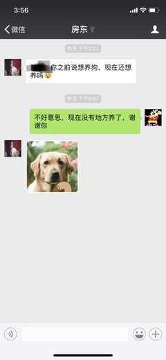 有感觉的句子