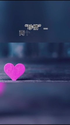 不止乍见之欢经典名句