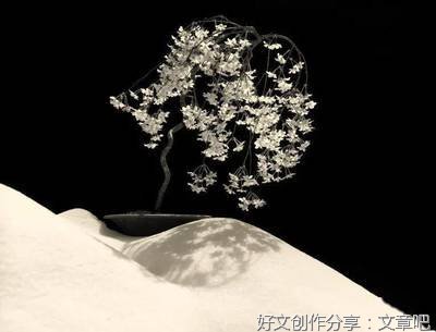 良辰美景奈何天经典的句子