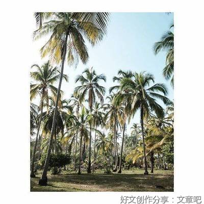 别恋句子