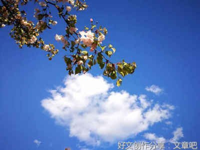 关于林徽因的优美句子