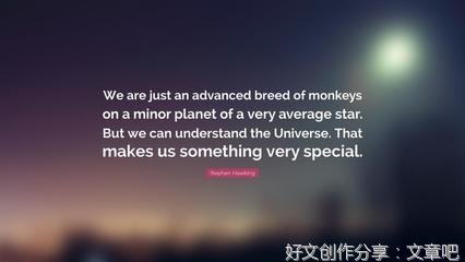 关于霍金的句子