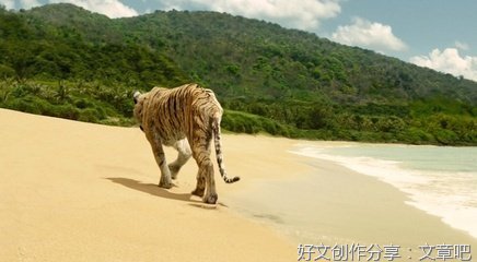 《再见那一天》观后感精选