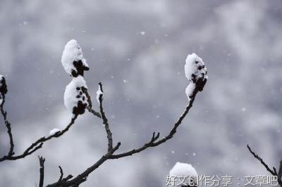 关于爱你就像爱世界的优美句子