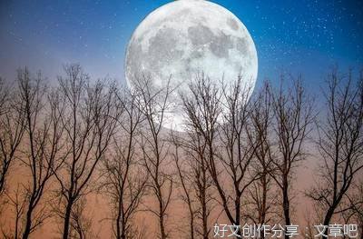 精华中的精华中的精华。名句欣赏