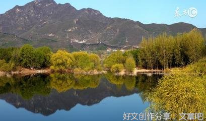 也许就是爱情呢句子